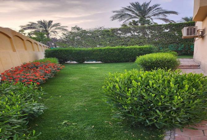 53981281 - صورة العقار 3