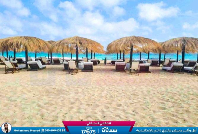 8584785 - Property Image 2