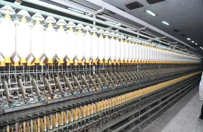 مخزن - استوديو - 2 حمامات للايجار في طريق بلبيس العاشر من رمضان - زيزينيا العاشر من رمضان - مدينة العاشر من رمضان - الشرقية