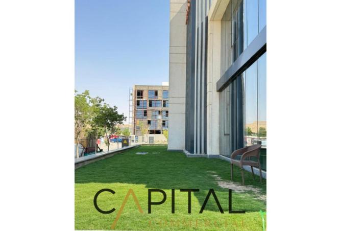 64897502 - Property Image 2