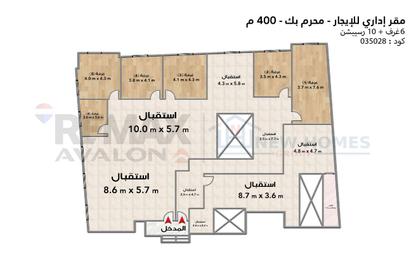 مساحات مكتبية - 6 غرف نوم للايجار في شارع الرصافة - محرم بك - حي وسط - الاسكندرية