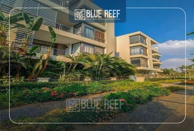 69573332 - صورة العقار 2