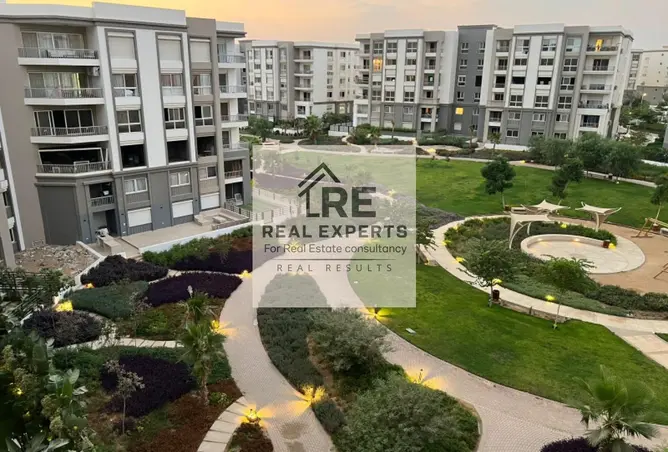 118037884 - Property Image 2