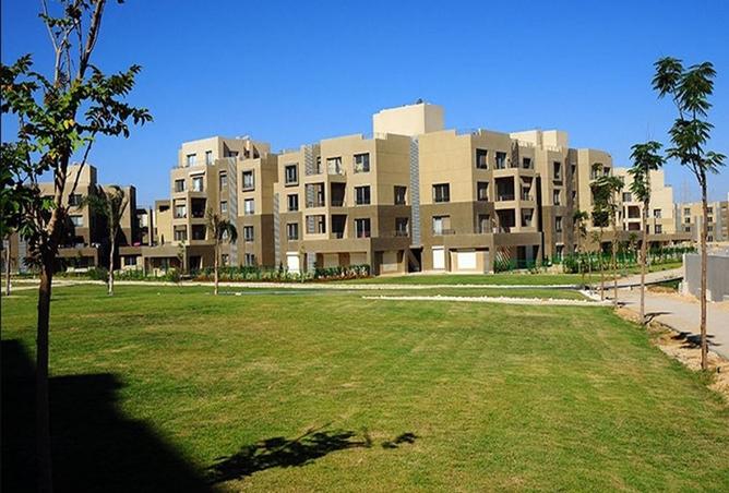 8565695 - Property Image 3