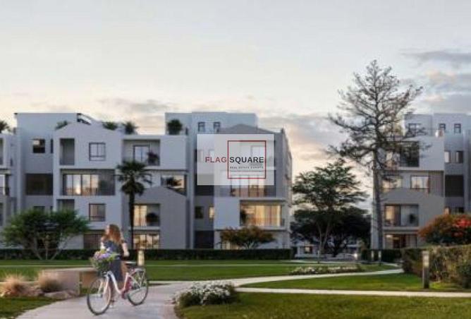 52464165 - Property Image 3