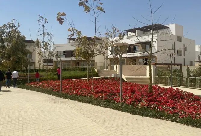 99390718 - Property Image 2