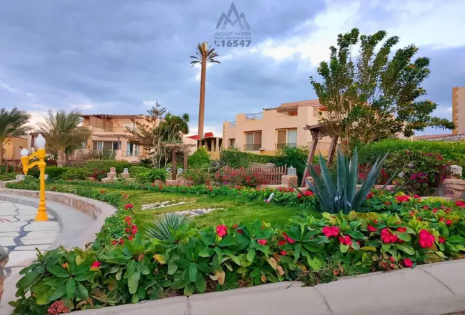 114354023 - Property Image 2