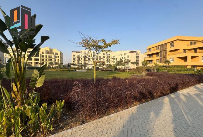 54241928 - صورة العقار 2