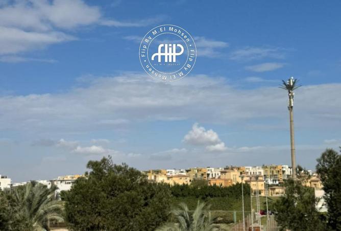 53478248 - صورة العقار 3