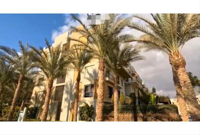 66437188 - صورة العقار 3