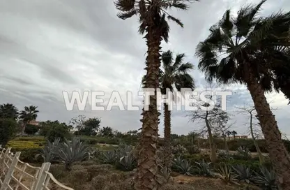 فيلا - 5 غرف نوم - 5 حمامات للبيع في پريڤادو - مدينتي - القاهرة