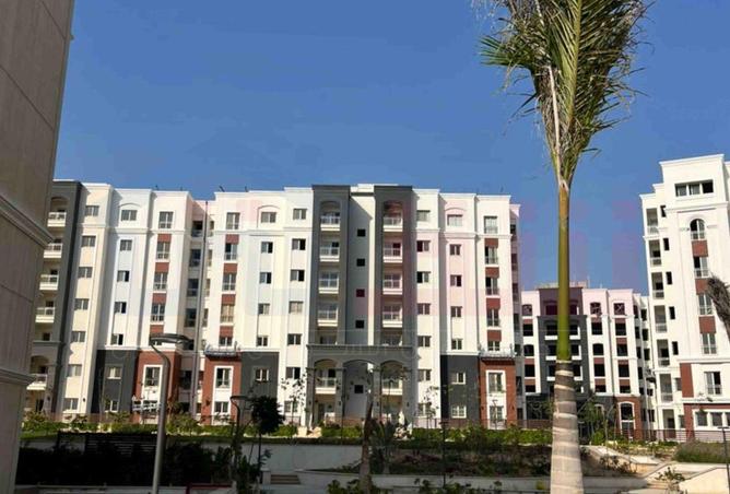 68790319 - صورة العقار 3