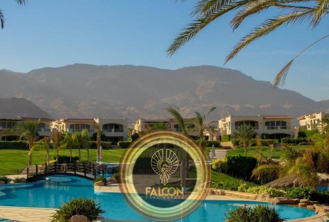 54237378 - صورة العقار 2