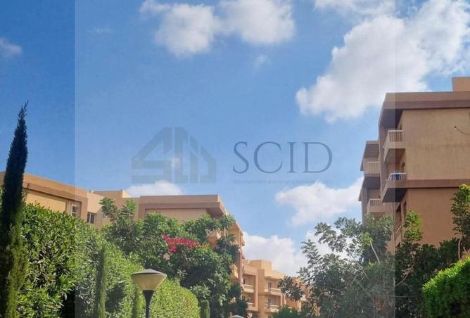 58003372 - صورة العقار 3