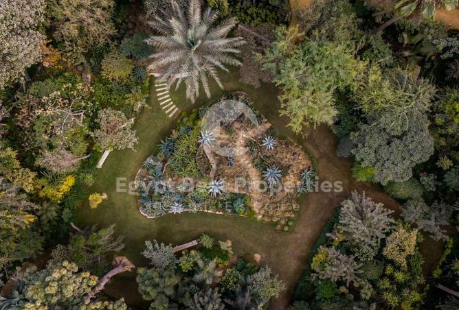 101498096 - صورة العقار 3