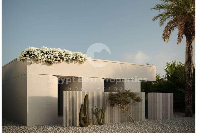 54460752 - Property Image 2