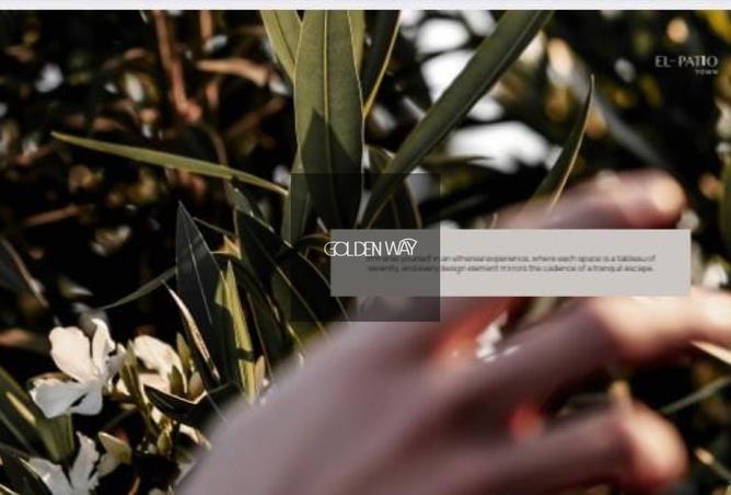 8458394 - Property Image 3