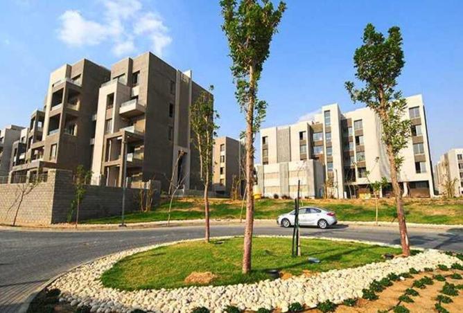 57250991 - Property Image 2