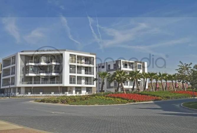 8705565 - Property Image 3