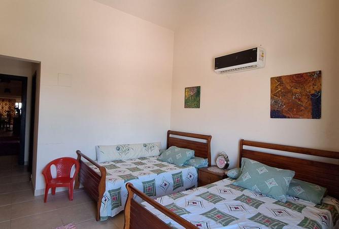 53728570 - صورة العقار 3