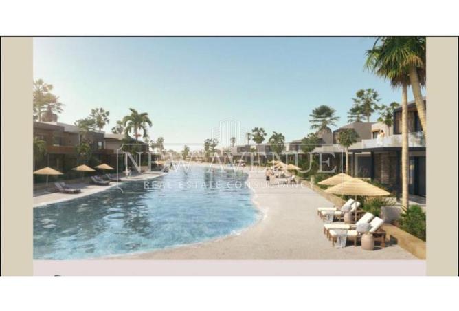 81564855 - Property Image 3