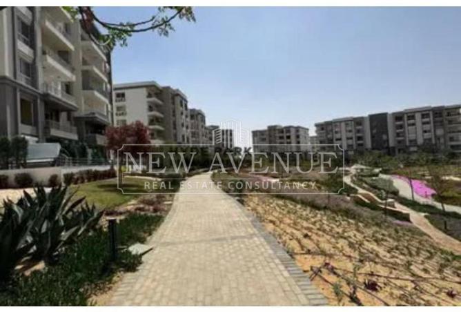 103473260 - Property Image 3