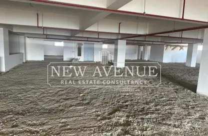 Factory - Studio - 2 Bathrooms for sale in Badr Industrial Zone - Badr City - Cairo