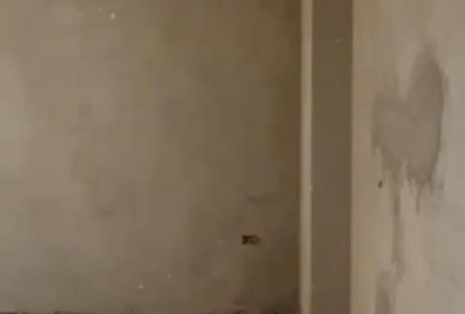 90188180 - الصورة الرئيسية للعقار