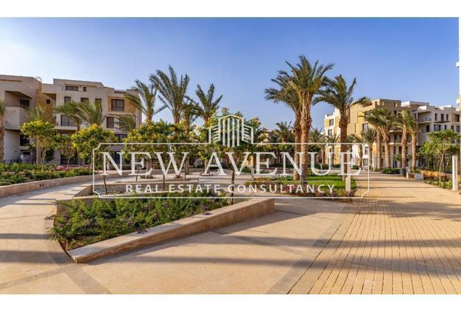 53477162 - Property Image 2