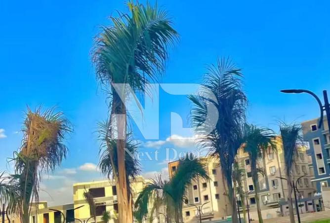 55999538 - Property Image 2