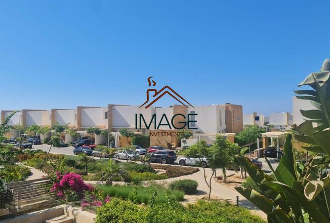 98011951 - صورة العقار 3
