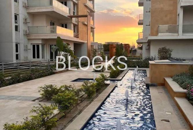 53727392 - Property Image 2