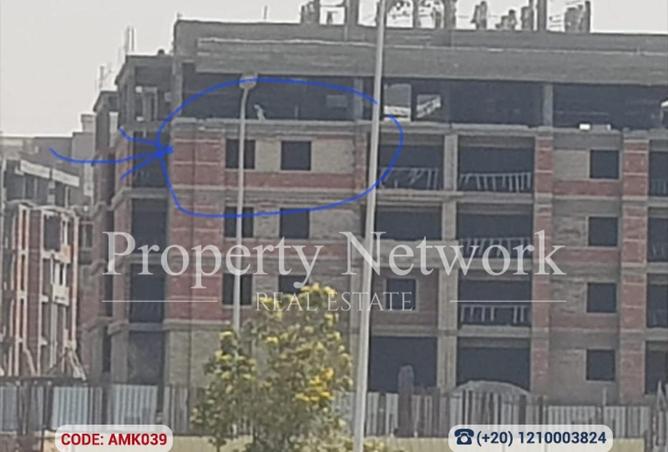 55250428 - Property Image 3