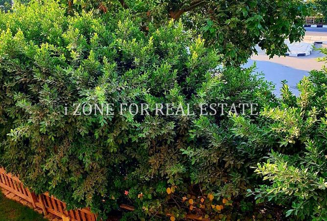 8702030 - Property Image 3