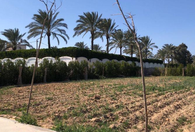 57496068 - صورة العقار 2