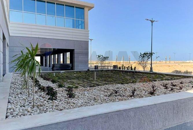 8681037 - صورة العقار 2