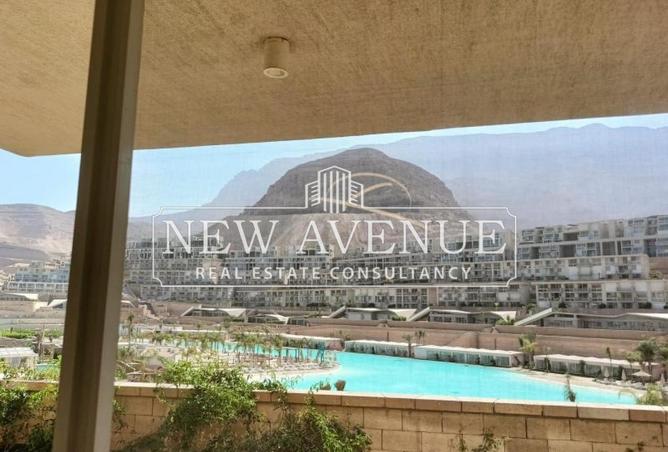 53217908 - صورة العقار 2