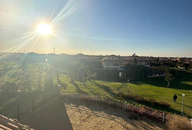 8710234 - Property Image 3