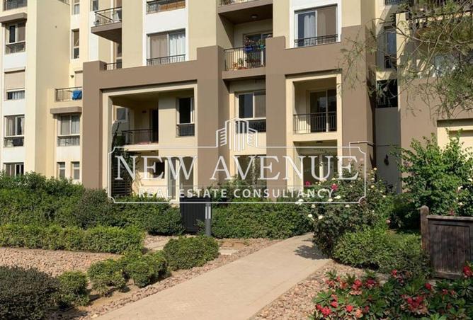 61929293 - صورة العقار 2