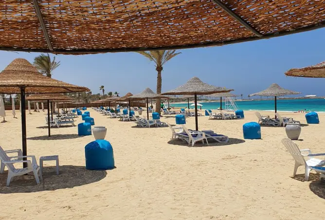 115450533 - صورة العقار 3