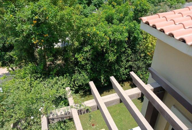 55754398 - Property Image 3