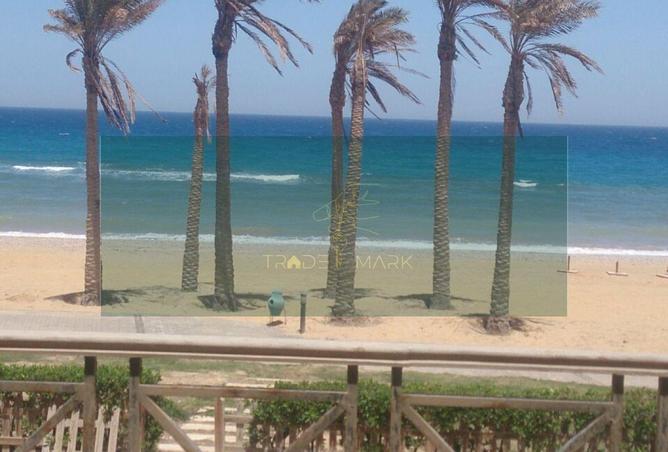 58243321 - صورة العقار 3