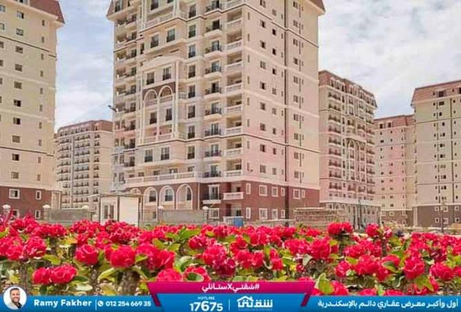 8577671 - Property Image 2