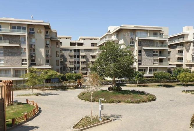 8558408 - Property Image 3