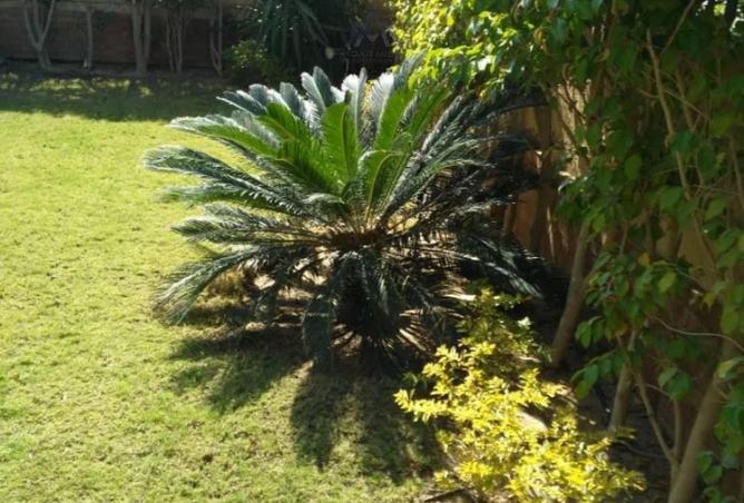 8391951 - Property Image 3