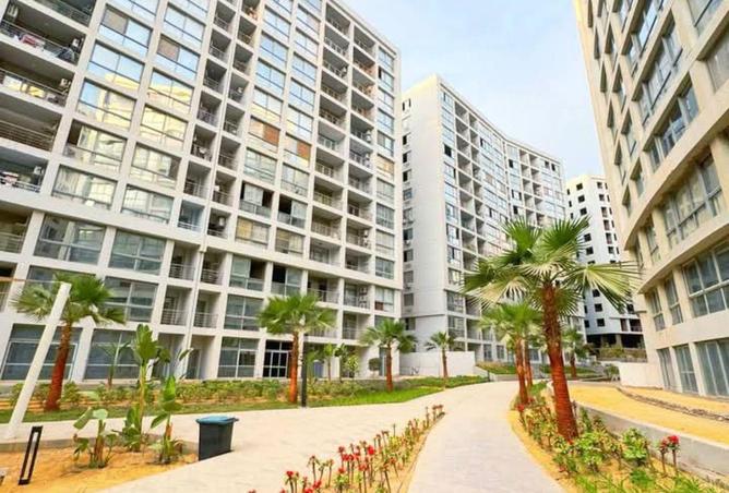 8710499 - Property Image 3