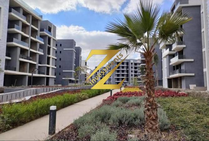 68799376 - Property Image 3