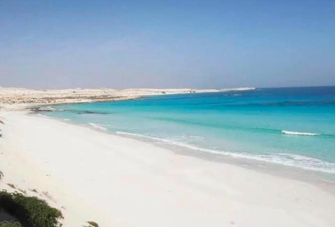 91008428 - صورة العقار 3
