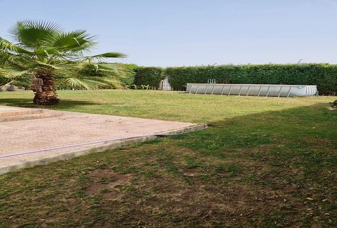 58997856 - صورة العقار 2