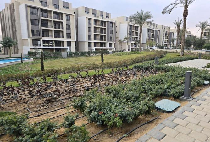 66174667 - Property Image 2